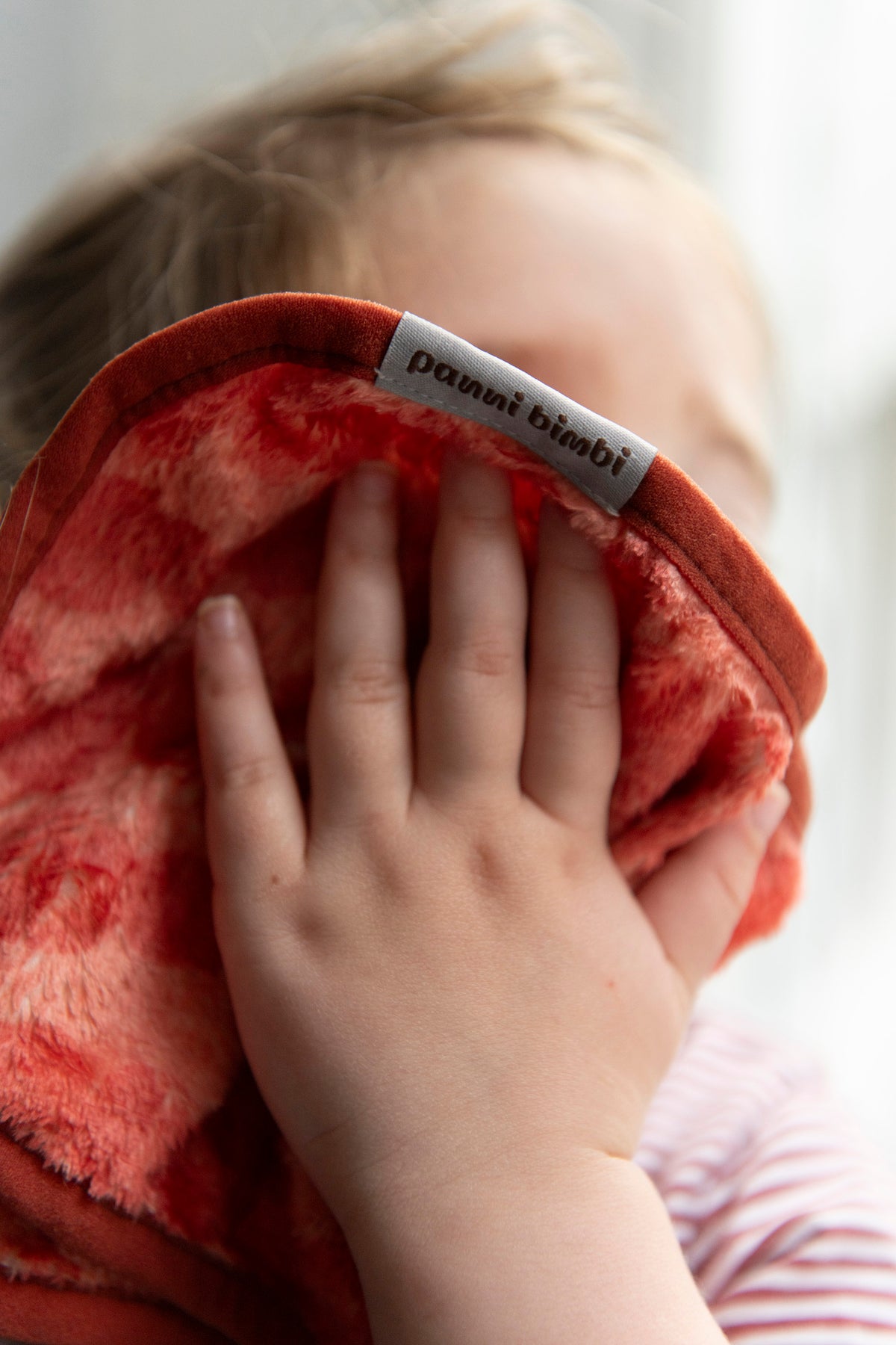 Limited Edition Cloth Set of 6 - Mangiare Collection