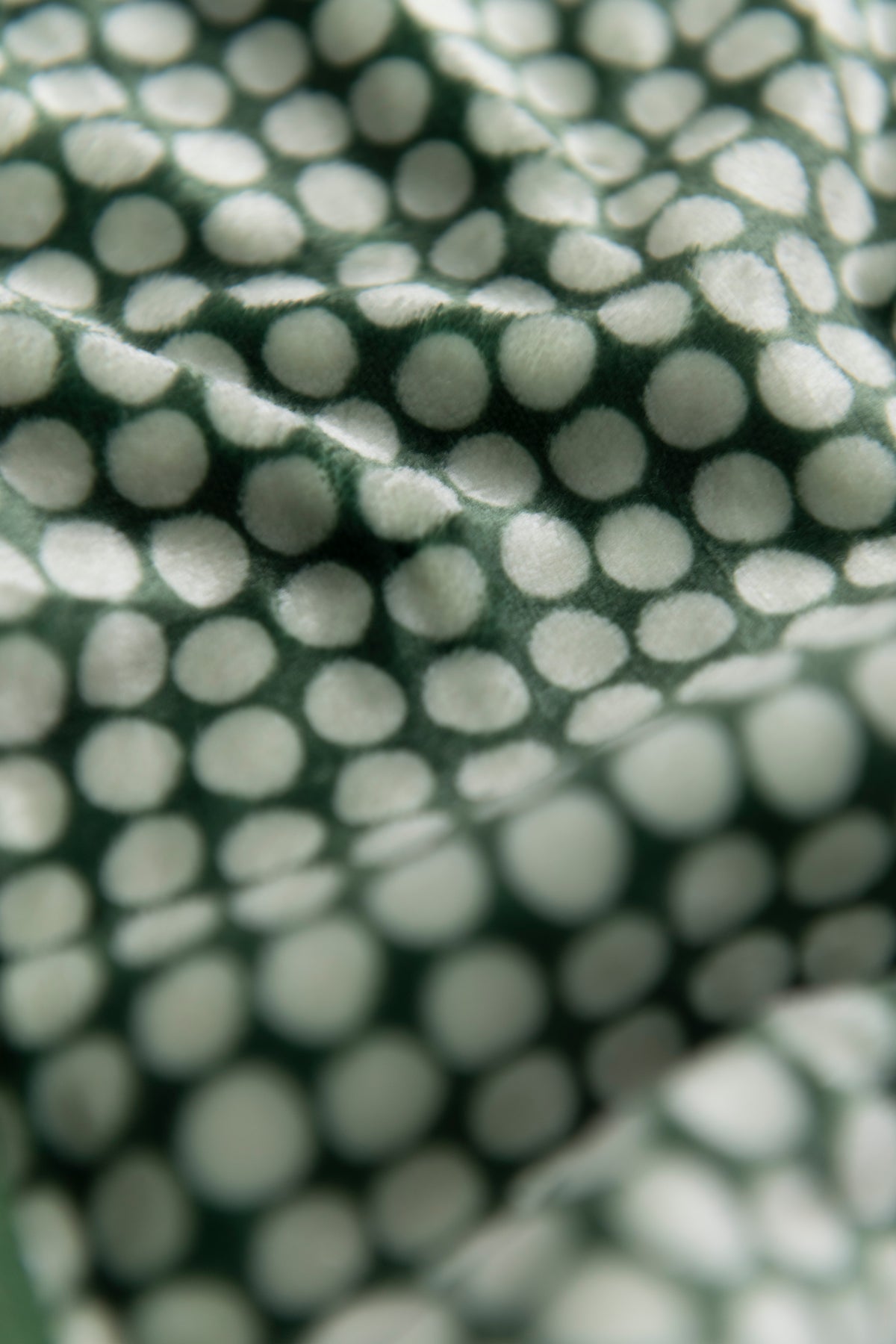 Cloth Trio - Piselli