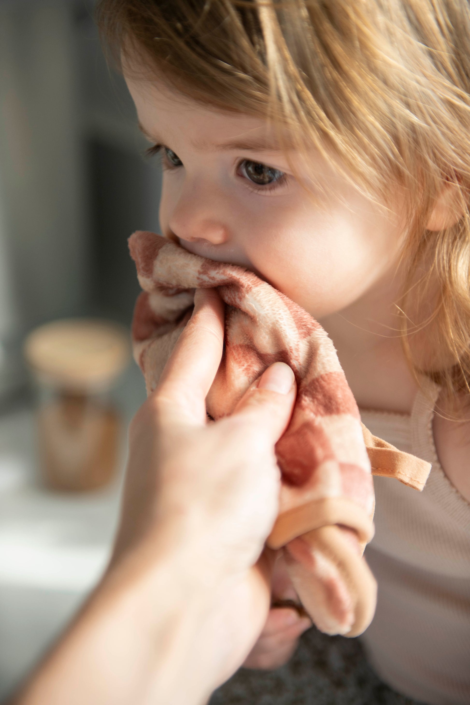 Cloth Set of 6 - Limited Edition